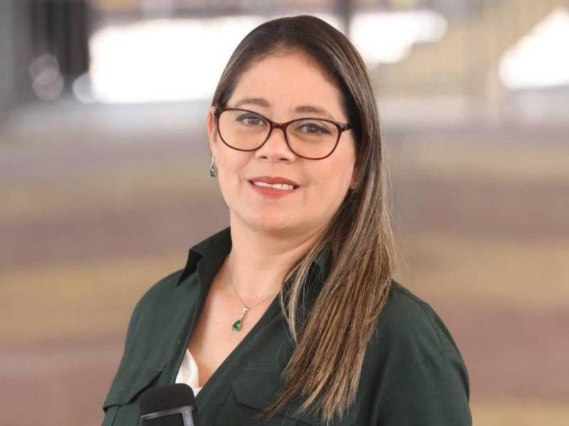 El Colegio de Periodistas de Honduras exigió garantías para que los periodistas puedan ejercer su trabajo sin miedo, censura ni violencia, en un contexto político marcado por alta tensión.