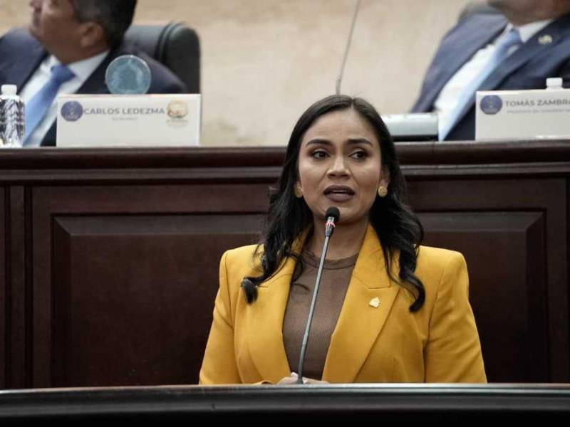 La diputada Burgos presentó 10 propuestas para enfrentar la sequía, junto a un plan de agua para producción.
