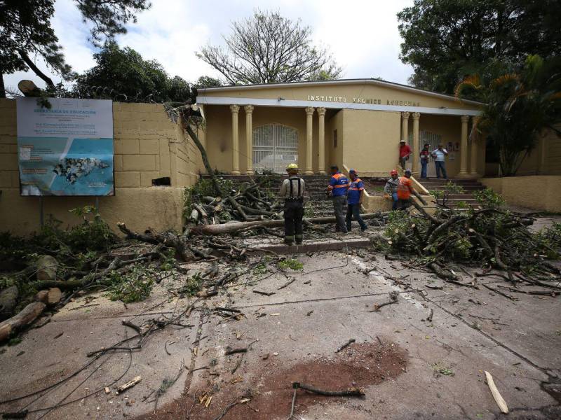 Las lluvias recientes causaron caída de árboles, deslizamientos y daños en escuelas y vehículos de Tegucigalpa y Comayagüela, según reportes oficiales.