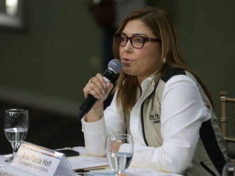 La consejera también cuestionó que quienes, a su criterio, participaron en estas acciones hablen de dignidad.