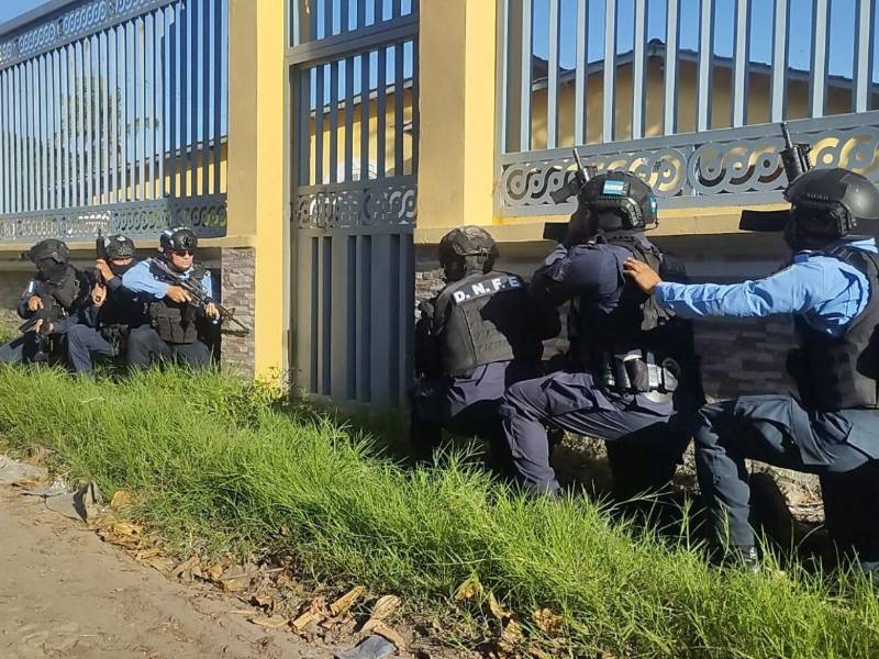 Foto. Cortesía