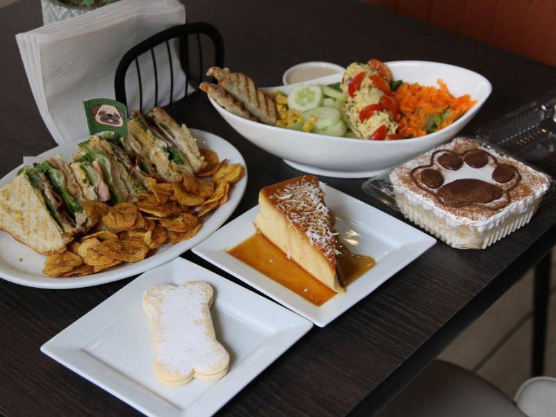 El menú de Guau Café ha experimentado varios cambios y recientemente incorporó nuevas opciones para sus visitantes.