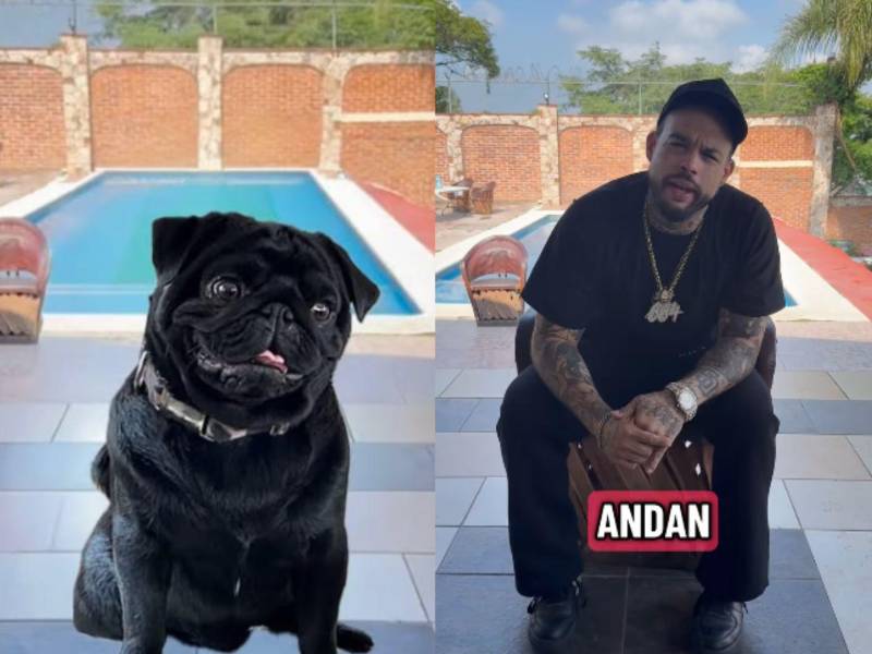 Aquella publicación fue eliminada poco después.