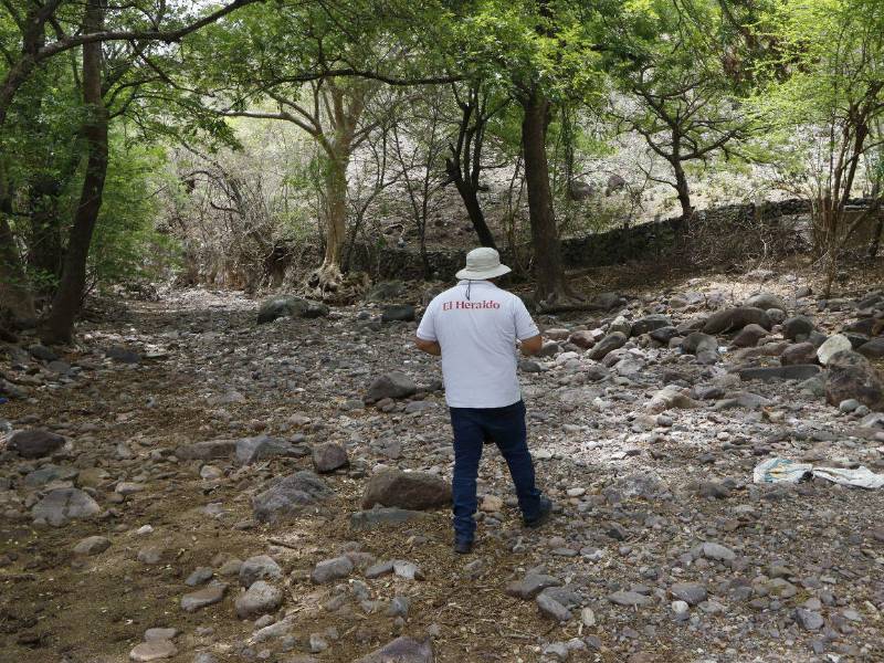 Los riachuelos y quebradas en el sur de Honduras están secos, a pesar que cayeron dos tormentas, estos no se recuperan.