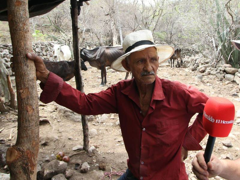 Don Rolando Pastrana está sufriendo en carne propia la crisis por la sequía. Con lágrimas en los ojos contó como se le han muerto seis de sus vacas debido al intenso calor y la falta de agua.