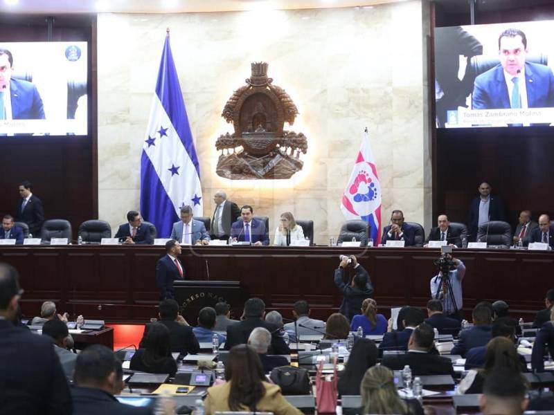 Estas fueron algunas de las propuestas presentadas durante la sesión del pleno.