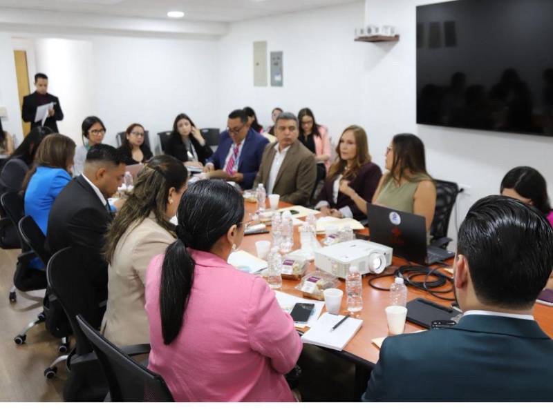 La reunión contó con la presencia de diputados, miembros del Ministerio Público y representantes de organizaciones de protección a la niñez.