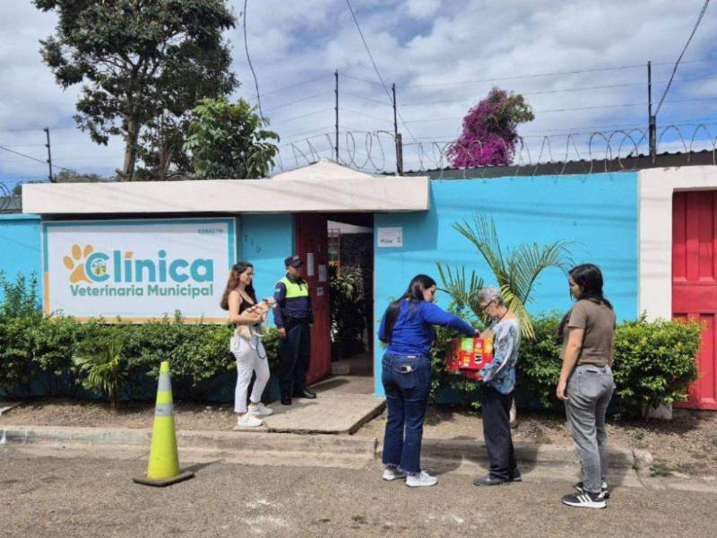 Mascotas reciben atención básica en la veterinaria municipal del Distrito Central, que cuenta con vacunación, desparasitación y esterilización