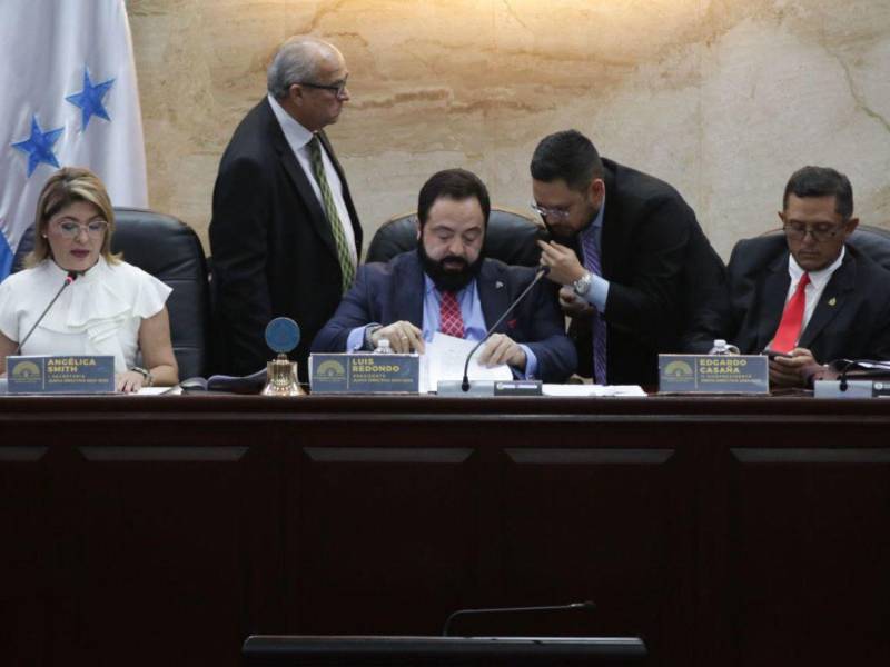 Los cuatro años de Luis Redondo como presidente del Poder Legislativo estuvieron marcados por denuncias, ilegalidades y derroche de fondos en subsidios y subvenciones.