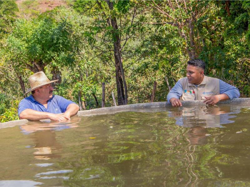Estudios de la FAO han demostrado que hogares que implementan Acciones Anticipatorias reducen tiempo e inversión en la etapa de recuperación luego del impacto de un fenómeno.