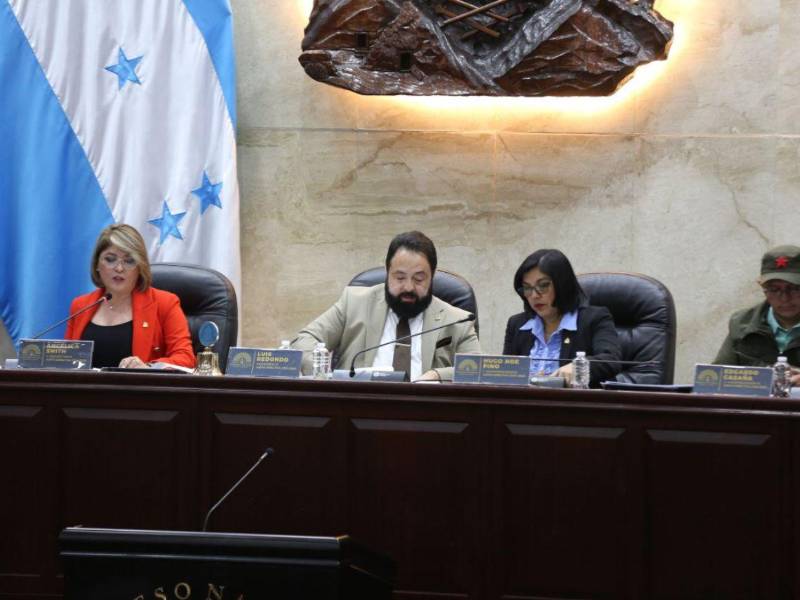 El Congreso Nacional publica mes a mes las erogaciones de los gastos por concepto de subvenciones para los diputados, no obstante, no divulga las liquidaciones.