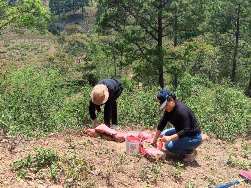 Personal especializado del Instituto de la Propiedad, realizan el levantamiento de la información en el municipio de Tatumbla, Francisco Morazán.