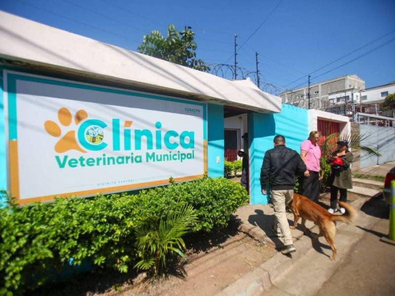 Desde su apertura oficial el 2024, la clínica veterinaria municipal ofreció atención gratuita a más de 22,500 mascotas capitalinas.