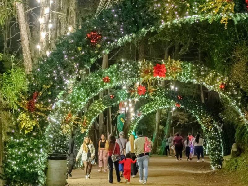 La ciudad inicia la temporada navideña con espacios iluminados y más actividades, desde recorridos en la Cervantes hasta la magia nocturna de El Picacho.