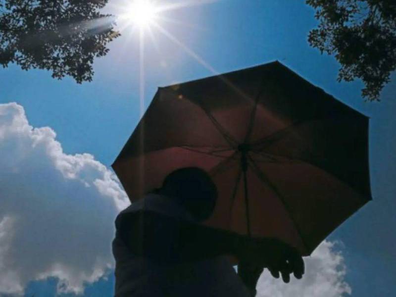 La falta de lluvias durante este 2026 ha dejado amplias zonas con el suelo expuesto. Esa condición, sumada a jornadas con poca nubosidad, permite una mayor acumulación de calor durante el día.