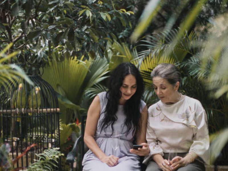 Querido trópico, un encuentro de soledades