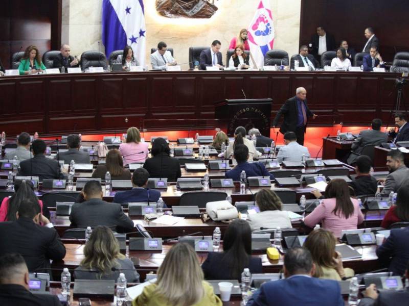 El Congreso Nacional aprueba la Ley de Reactivación Económica y Desarrollo Humano, que busca fortalecer la economía y la estabilidad del Estado.