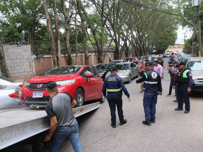 La Alcaldía pide a los capitalinos reportarlo por WhatsApp para que los equipos municipales atiendan la denuncia.