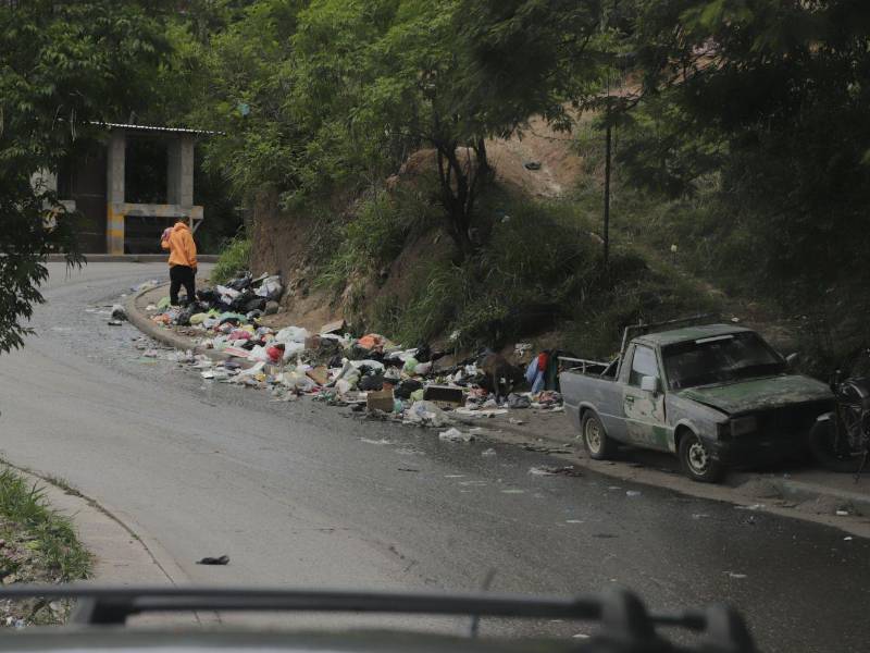 Perros, malos olores y desperdicios forman parte del panorama en zonas donde la basura sigue acumulándose sin control.