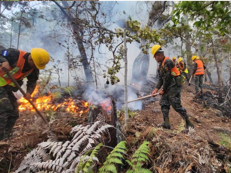 La Alcaldía del Distrito Central informó que las hectáreas afectadas por incendios forestales se redujeron 86% en 2026 frente a 2024, según informe oficial datos AMDC