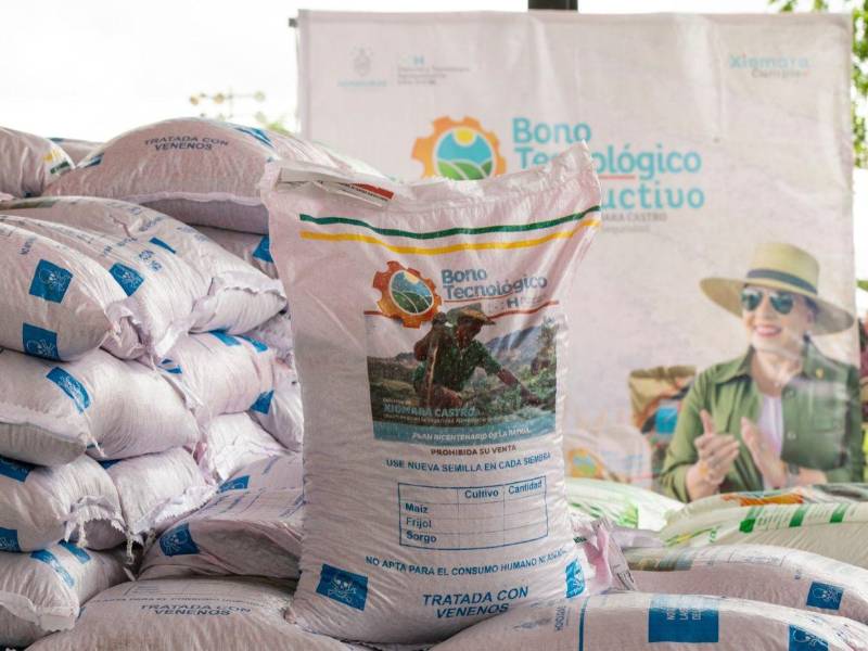 La meta para este año es beneficiar a 650 mil pequeños productores.