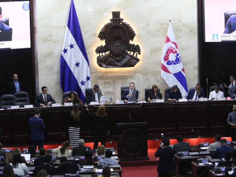 Tomás Zambrano introdujo iniciativas para reformar la Constitución.