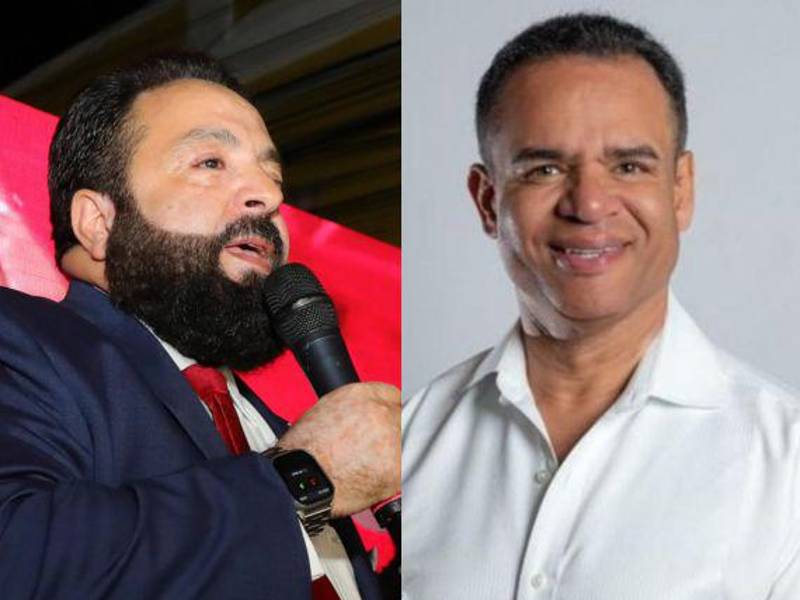 Las elecciones generales de 2025 dejaron fuera del Congreso Nacional a varios diputados que buscaban la reelección, marcando un relevo en la conformación del próximo Poder Legislativo.