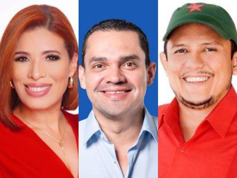 Estos son los candidatos a diputados que están consolidando su curul, entre nuevos rostros que llegan al Congreso Nacional.