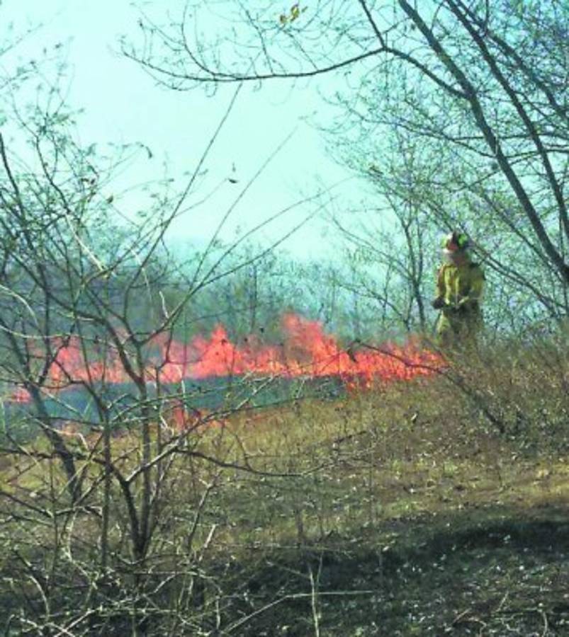Honduras: Más de 2,000 manzanas quemadas registra Choluteca en este mes
