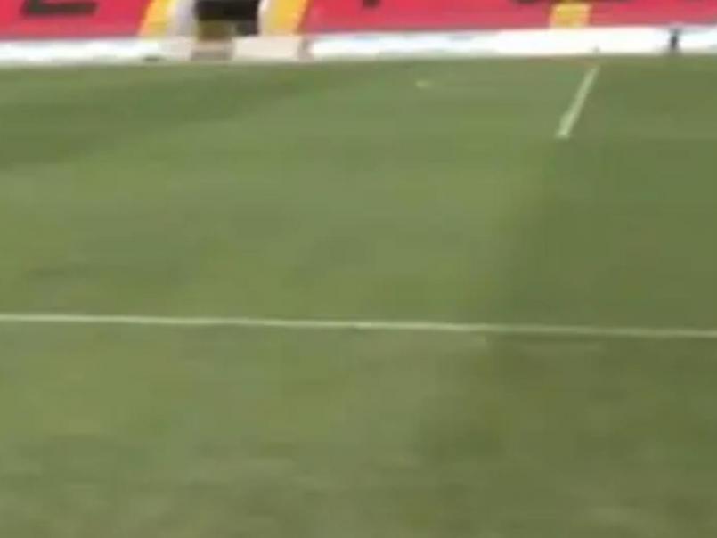 ¿Se dañó? Revelan lo que harán con la grama del estadio Nacional tras multitudinario concierto