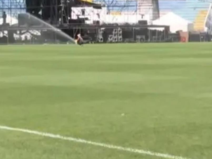 ¿Se dañó? Revelan lo que harán con la grama del estadio Nacional tras multitudinario concierto