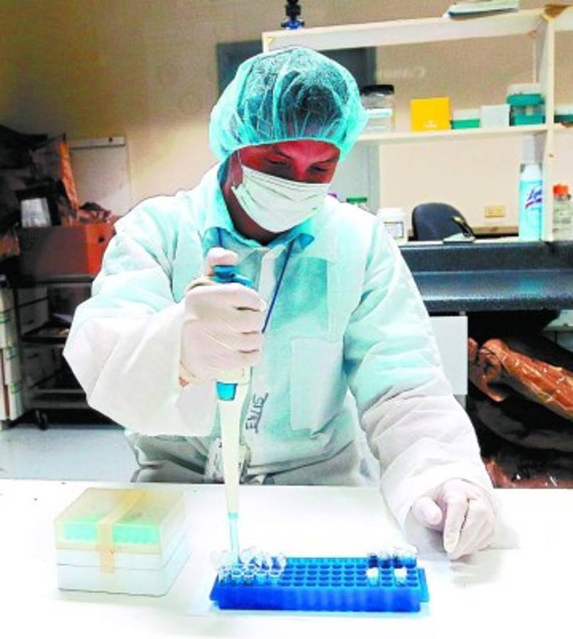 Cada dos días identifican un cuerpo mediante pruebas de ADN