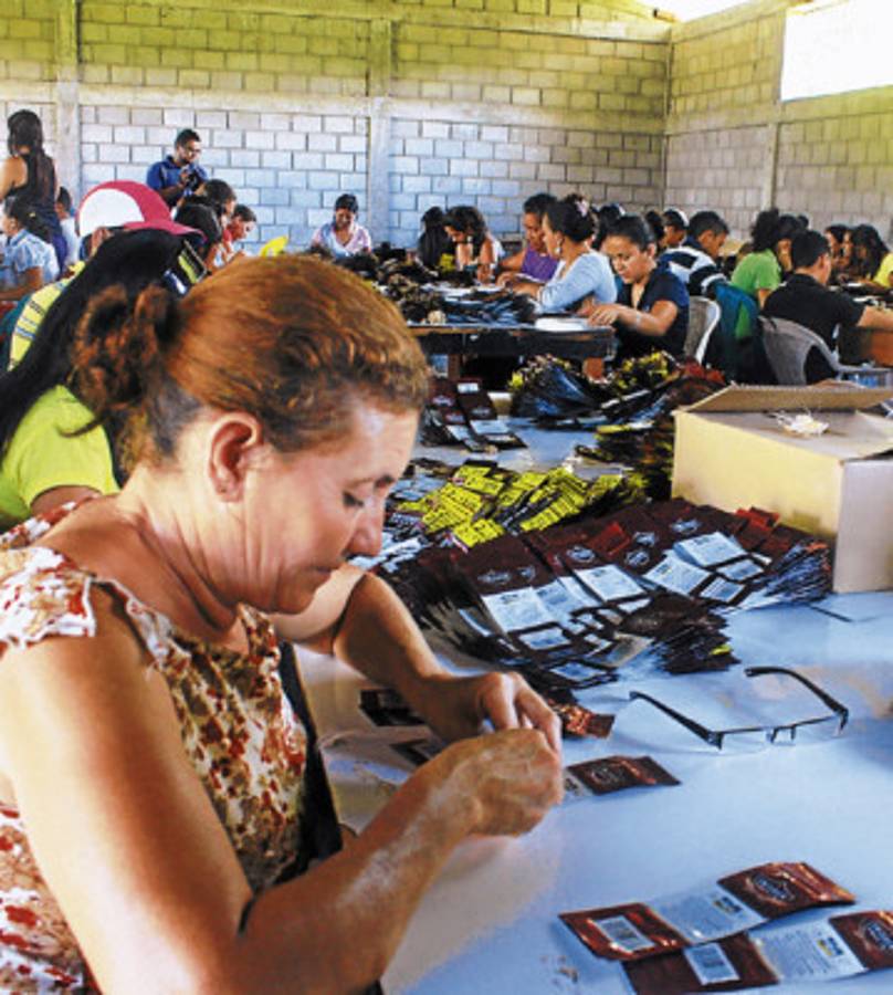 Rubro del tabaco genera nuevas plazas laborales en aldea El Pescadero