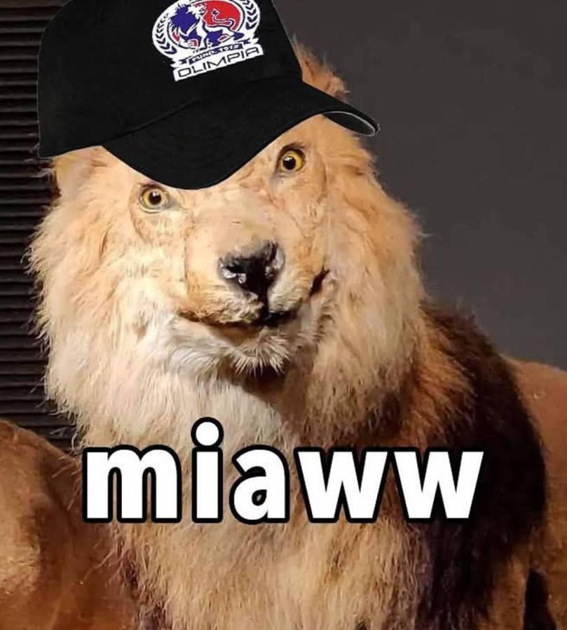 Divertidos memes tras la eliminación de Olimpia por el Alajuelense