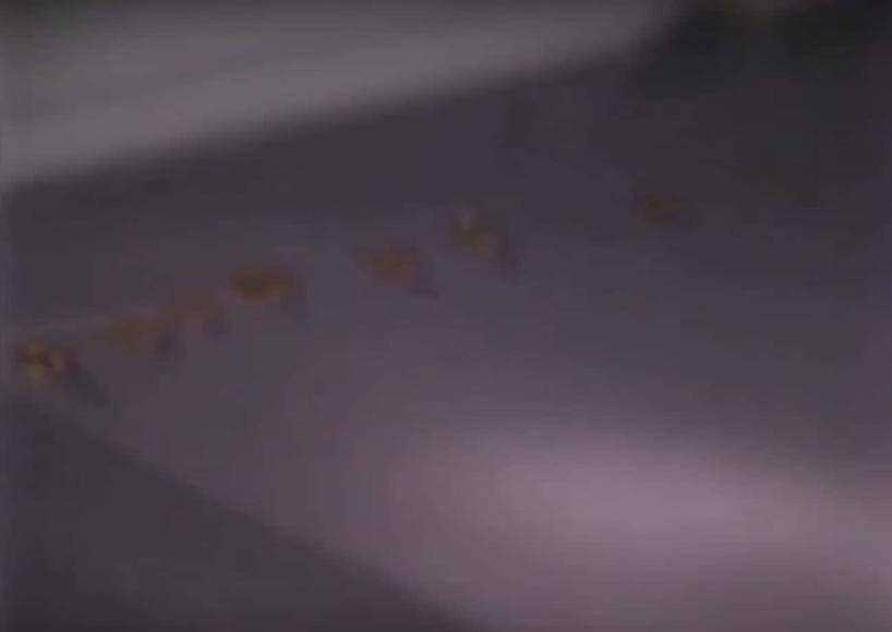 El terror de San Pedro, el caso paranormal investigado por la Universidad de Los Ángeles