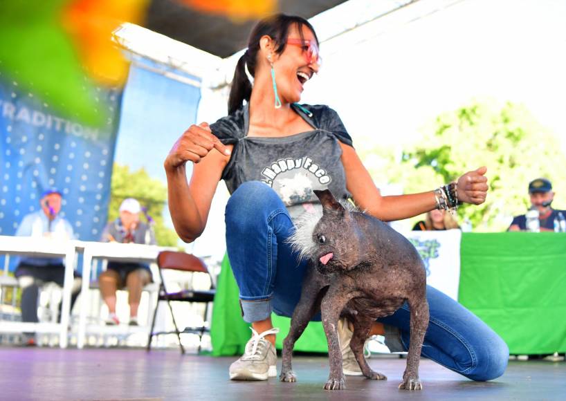 FOTOS: Mr. Happy Face, así es el perro más feo del mundo