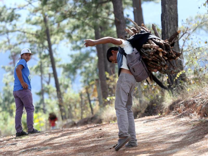 Miles de niños intentan equilibrar su estudios con salir a ganarse el pan de cada día, pero son más los que lamentablemente se dedican solo a trabajar.
