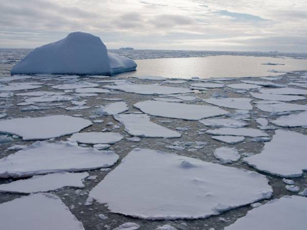 La capa de hielo marino vista desde el rompehielos Araon mientras navega hacia la Antártida el lunes 5 de enero de 2026. Tras 10 días con solo el océano abierto y algún iceberg ocasional a nuestro lado, adentrarnos en el hielo marino se sintió como cruzar hacia un mundo completamente distinto.