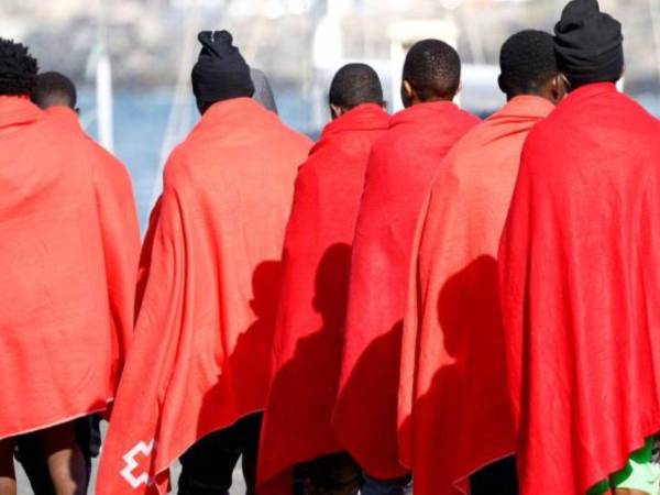 La popularidad de una estrella de mar naranja surgió de su parecido con Patricio, personaje de “Bob Esponja”.