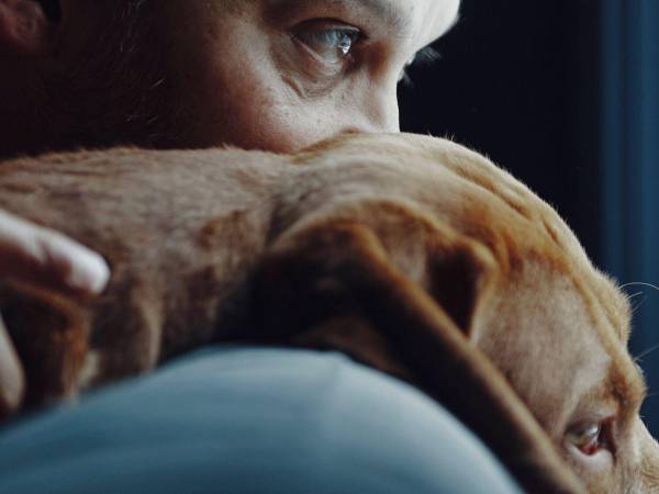 Tener mascotas, especialmente perros, se asocia a mejor salud y longevidad