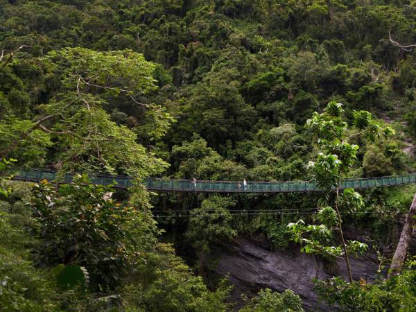 El Parque Nacional Yushan, en la costa este de Taiwán, ofrece vistas sensacionales de cascadas y valles fluviales.