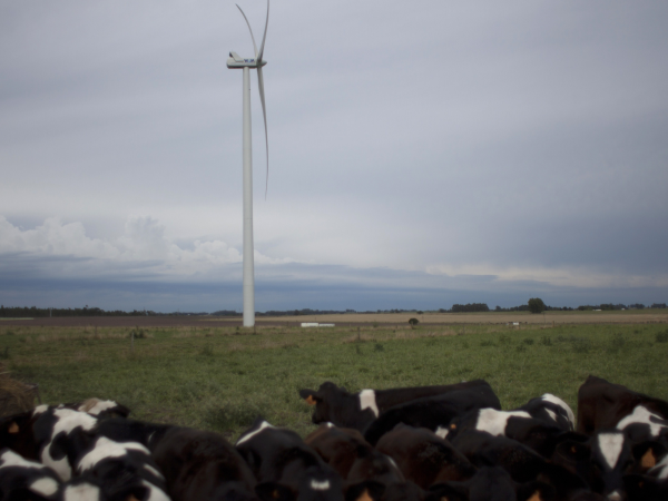 Uruguay genera casi toda su electricidad de fuentes renovables. Energía eólica en un parque cerca de Montevideo.