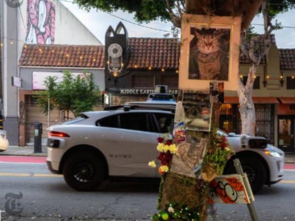 Un taxi robot de Waymo atropelló a un gato muy querido, enfureciendo a algunos residentes de San Francisco.