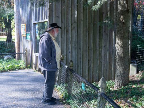 Ninja, el puma de 55 kilos, muestra su momento más emotivo cuando percibe a Herb Reed, un maestro jubilado que lo cuidó desde su llegada en 2011. La conexión perdura años.