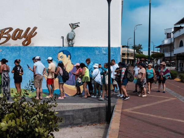 Focas en una playa de las Galápagos. El 97 por ciento del archipiélago es un parque nacional protegido.