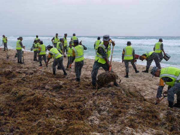Miembros de la Guardia Nacional Mexicana en una jornada de limpieza de sargazo en Cancún, en junio. (Paola Chiomante/Reuters)