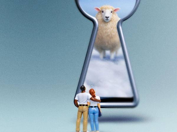 Compartir la cama no siempre es fácil, pero puede mejorar con algunos ajustes simples.