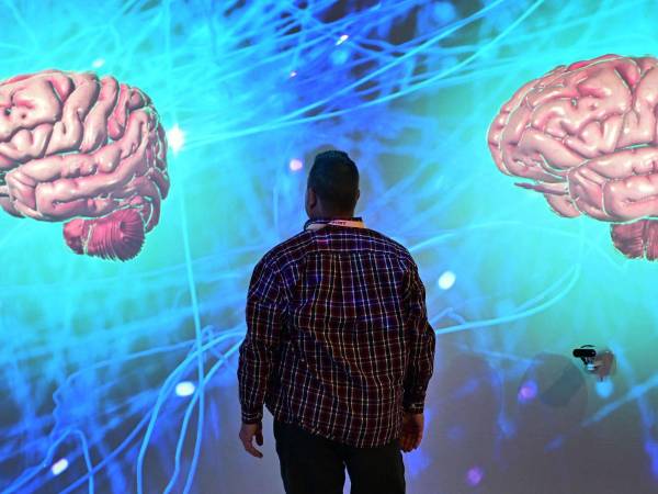 Esperan científicos comprender mejor la cognición humana entrenando la IA para que responda como nosotros.