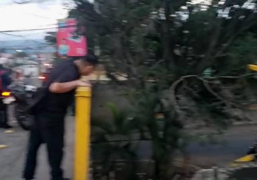 Los destrozos del taxi que “voló” desde puente en barrio Guadalupe y dejó cuatro heridos