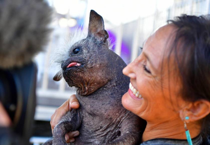 FOTOS: Mr. Happy Face, así es el perro más feo del mundo